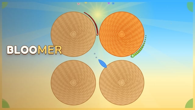 Bloomer