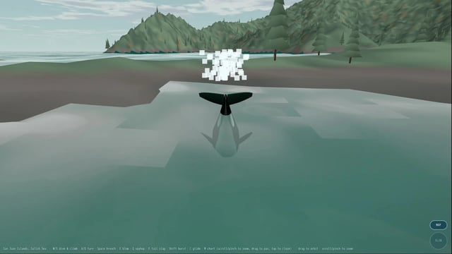 Orca