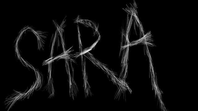 SARA