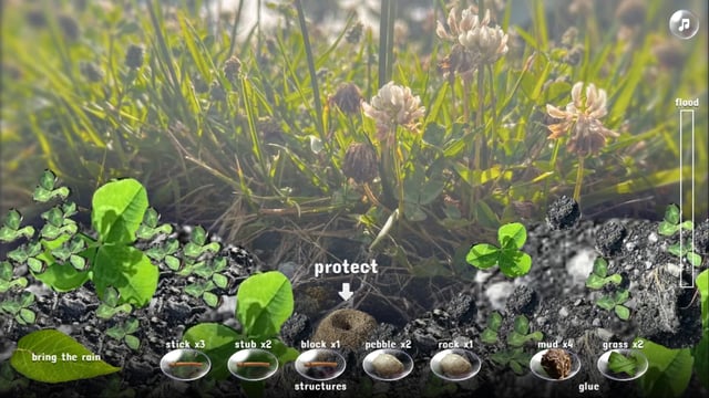 Ant Shelter