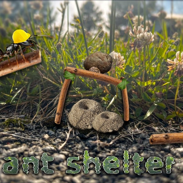 Ant Shelter