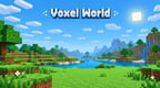Voxel World