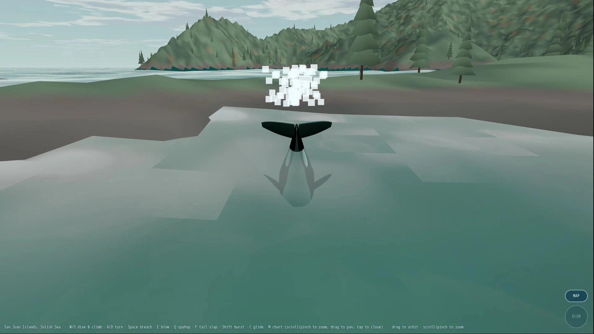 Orca