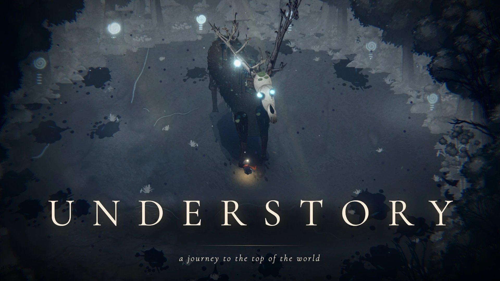 Understory